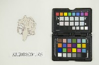 皮影戲偶剪型樣本藏品圖，第6張