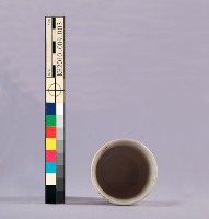 囍字花卉鬥雞紋彩瓷杯藏品圖，第7張