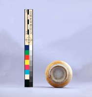 囍字花卉鬥雞紋彩瓷杯藏品圖，第8張