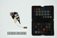 皮影戲偶全身男騎-道長騎麒麟藏品圖，第2張