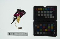 皮影戲偶全身男騎-老武淨騎青獅藏品圖，第2張