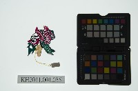 皮影戲偶全身男騎-武淨騎白象藏品圖，第2張