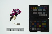 皮影戲偶全身男騎-老武淨騎老虎藏品圖，第2張