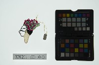 皮影戲偶全身男騎-將軍騎白馬藏品圖，第2張