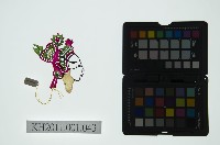 皮影戲偶全身男騎-將軍騎白馬藏品圖，第2張