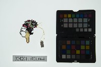 皮影戲偶全身女騎-道姑騎禽鳥藏品圖，第2張