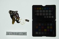 皮影戲偶全身男騎-道長騎獅子藏品圖，第2張