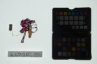 皮影戲偶全身女騎-道姑騎禽鳥藏品圖，第2張