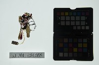 皮影戲偶全身女騎-女將軍騎白馬藏品圖，第2張