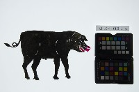 皮影戲動物偶-豬精藏品圖，第1張