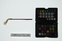 皮影戲簽桿立身偶-老彩旦（偶身）藏品圖，第3張