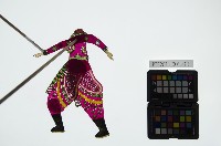 皮影戲簽桿立身偶-花臉武淨（偶身）藏品圖，第1張