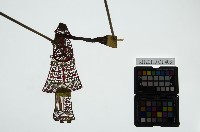 皮影戲簽桿立身偶-后妃（偶身）藏品圖，第1張