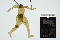 皮影戲簽桿立身偶-妖婦或妖怪（偶身）藏品圖，第1張