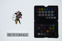 皮影戲偶頭-旦藏品圖，第1張