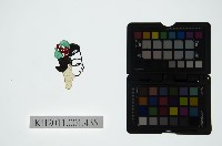 皮影戲偶頭-旦藏品圖，第1張