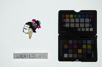 皮影戲偶頭-旦藏品圖，第1張