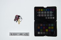 皮影戲偶頭-旦藏品圖，第1張