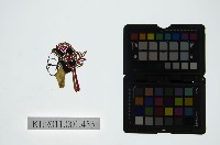 皮影戲偶頭-旦藏品圖，第1張