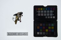 皮影戲偶頭-旦藏品圖，第1張