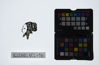 皮影戲偶頭-小旦藏品圖，第1張