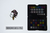 皮影戲偶頭-小旦藏品圖，第1張