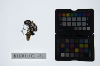 皮影戲偶頭-小旦藏品圖，第1張