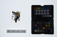 皮影戲偶頭-武生藏品圖，第1張