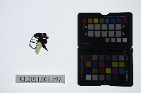 皮影戲偶頭-小旦藏品圖，第1張
