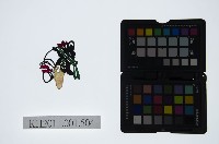 皮影戲偶頭-彩旦藏品圖，第1張