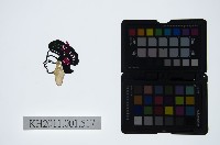 皮影戲偶頭-旦藏品圖，第1張