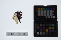 皮影戲偶頭-旦藏品圖，第1張