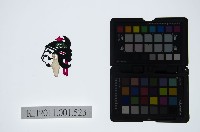 皮影戲偶頭-旦藏品圖，第1張