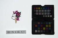 皮影戲偶頭-旦藏品圖，第1張