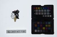 皮影戲偶頭-旦藏品圖，第1張