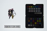 皮影戲偶頭-旦藏品圖，第1張