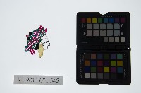 皮影戲偶頭-旦藏品圖，第1張