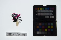 皮影戲偶頭-旦藏品圖，第1張