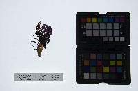 皮影戲偶頭-旦藏品圖，第1張