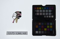 皮影戲偶頭-旦藏品圖，第1張