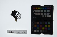 皮影戲偶頭-丑藏品圖，第1張