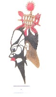 皮影戲偶頭-淨藏品圖，第1張