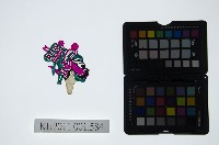 皮影戲偶頭-淨藏品圖，第1張