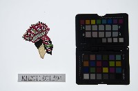 皮影戲偶頭-淨藏品圖，第1張