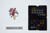 皮影戲偶頭-生藏品圖，第1張