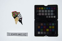 皮影戲偶頭-末藏品圖，第1張