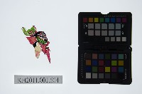 皮影戲偶頭-淨藏品圖，第1張