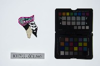 皮影戲偶頭-末藏品圖，第1張