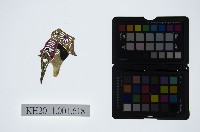 皮影戲偶頭-末藏品圖，第1張