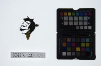 皮影戲偶頭-雜藏品圖，第1張